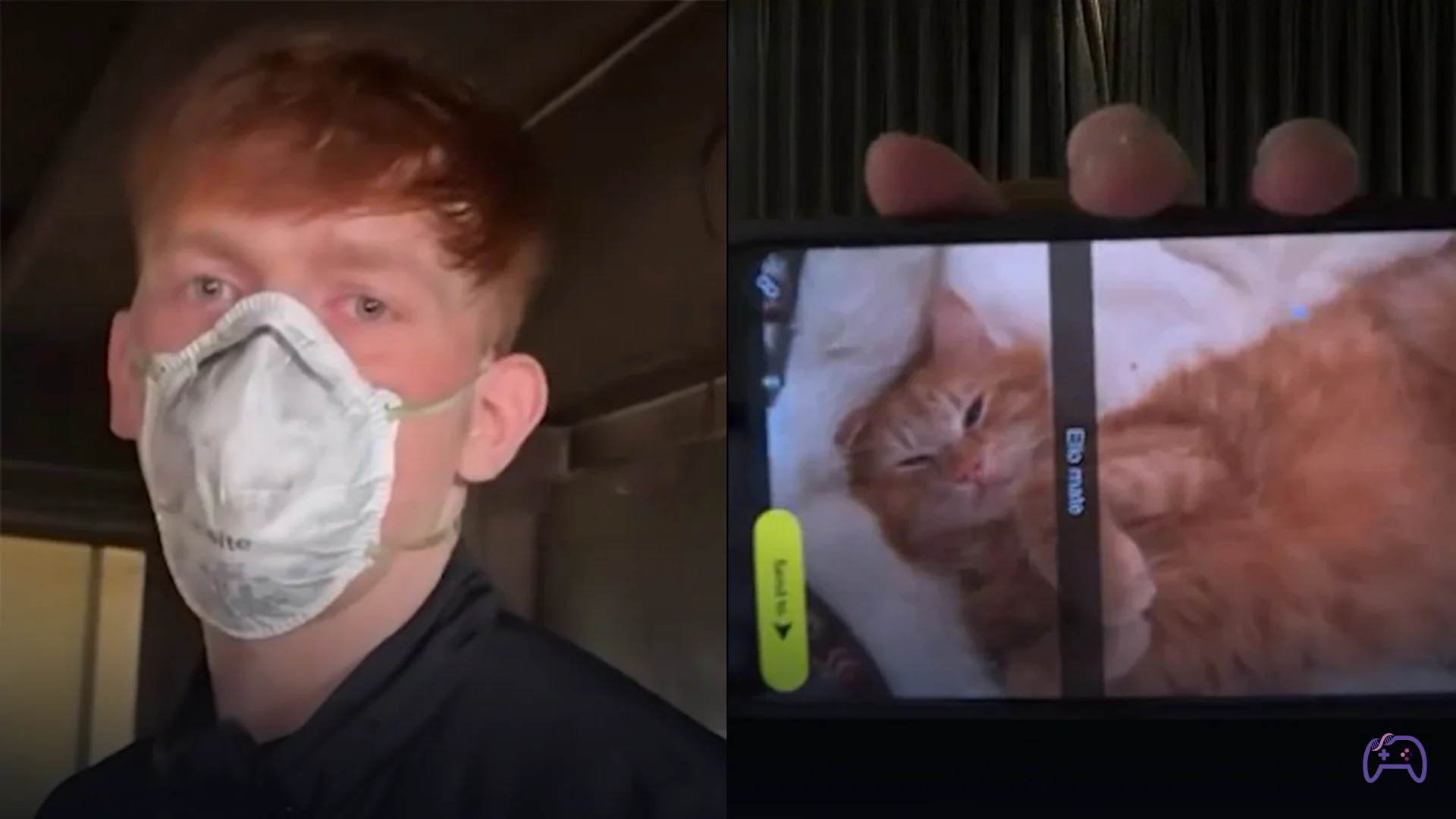 Блогер Angryginge потерял домашних питомцев матери при пожаре