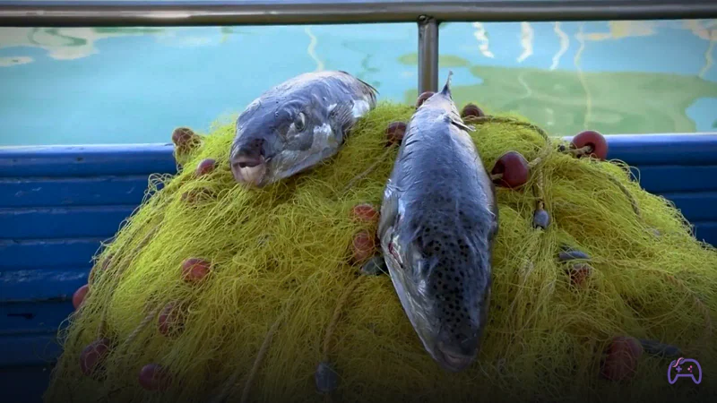 Греция платит рыбакам за отлов ядовитой рыбы, которая прокусывает жестяные банки