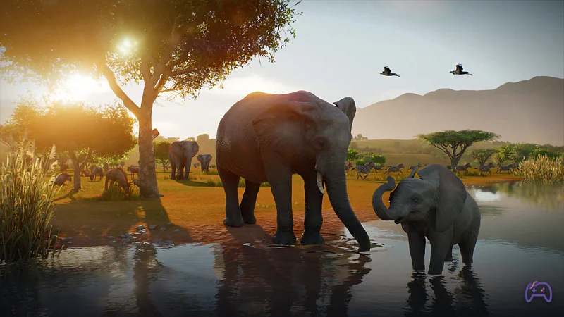 Planet Zoo 2: когда вы в первом лице между жирафами и зебрами
