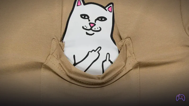 Streetwear-бренд RIPNDIP подавил маленького художника и получил по шапке