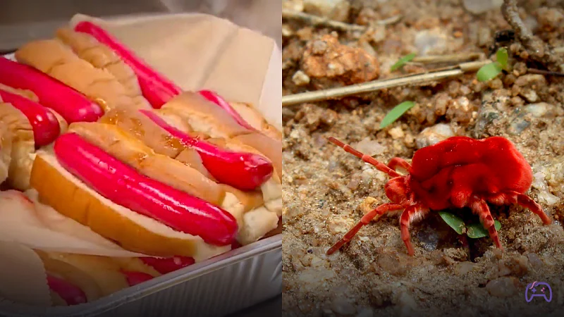 Легендарная сосиска со вкусом насекомых: американская компания нашла замену запретному красителю