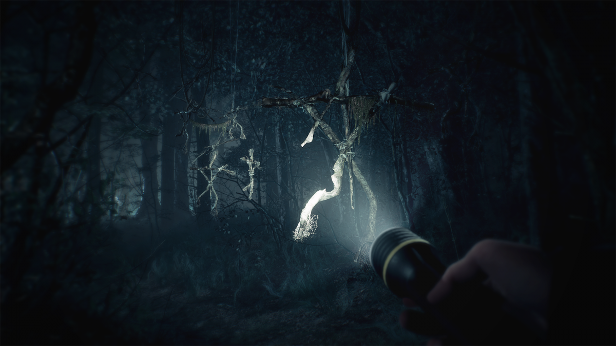Новый трейлер Blair Witch показывает нам ужасающие красоты леса